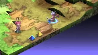 Port Report: Disgaea PC