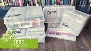 Seed Storage & Organization