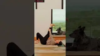 Day 8 Relax 🧘&zwj;♀️ | Gentle Rest Yoga #yogausa #mobility #yogausa united states