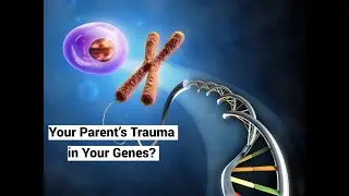 Can You Inherit Trauma? (Inter-generational Trauma Transmission)