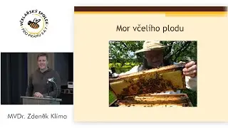 Mor plodu MVDr  Klíma Praktická ukázka diagnostiky
