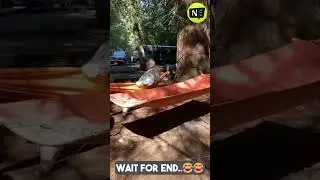 Fail Compilation: The Laughter Therapy You Need 😂#shorts #fails #FunnyFails