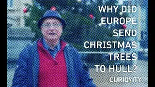 Why Did Europe Send Christmas Trees to Hull?
