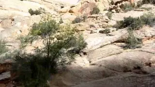 Capital Gorge.MOV
