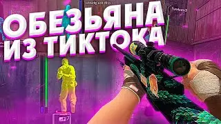 Легит КФГ Осирис \ Напарники С Софтом \ До Глобала С Софтом