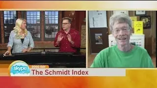 Schmidt Pain Index 2