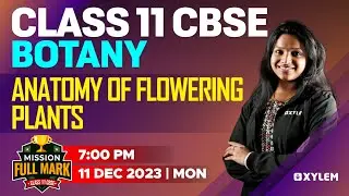 Class 11 CBSE - Botany - Anatomy of Flowering Plants | Xylem CBSE 11 & 12