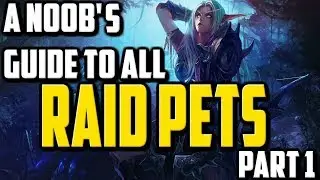 A Noob's Guide To All Farmable Raid Pet's - Part 1