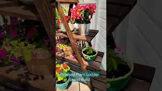 Finished Plant Ladder Stand #plantstand #shousugiban #woodenplantstand  #woodworking #plants #garden