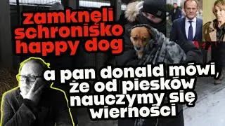 Zamknięto schronisko Happy dog, a od piesk&oacute;w pan donald nauczy się wierności🔥
