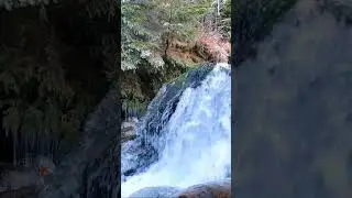 Winter Forest Waterfall | Nature Sounds #nature #wintersounds #forest #waterfall #relaxing