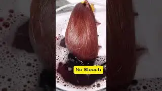 Chestnut Brown Hair Dye Shampoo, No Bleach Needed! #nobleach #haircolor