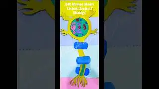 DIY Neuron Model | A Nerve Cell | Model making | School project | Biology | #shorts #model #diy
