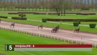 Avenches / 17.11.2025 / PRIX DE CLÔTURE