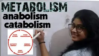 Metabolism/ चयापचय | catabolism| anabolism| home science| food and nutrition| B.A home science 3rd|