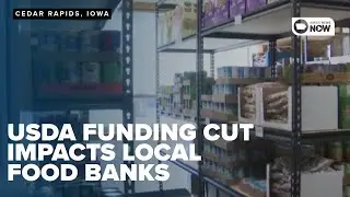 USDA funding cut leaves local food banks struggling