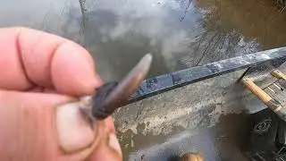 first check on the small creek