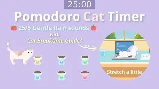 Pomodoro Cat Timer 25/5 ⏰ Let's Focus and Get Homework / Work Done in 1 Hour! ☔ Gentle Rain Sounds