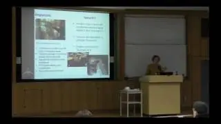 4）-2.Radioactive waste characterization in Ukraine