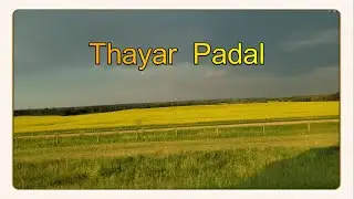 Thayar  Padal | தாயார் பாடல் | Oppari song | திருநெல்வேலி ஒப்பாரி பாடல்