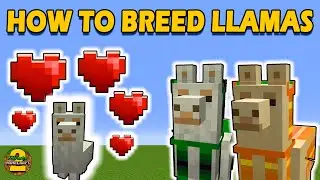 How To Breed Llamas In Minecraft | All Versions