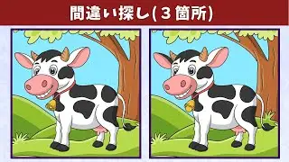 Найдите 3 отличия | Иллюстрация Версия #930