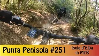 Isola d'Elba in MTB Enduro: trail Punta Penisola #251