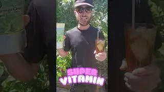 How to Moringa Tea for 93 Vitamins Minerals and Nutrients for Daily Health and Wellness Benefits