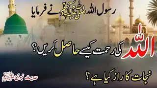 اللہ کی رحمت کیسے حاصل کریں؟ | Hadith e Nabvi ﷺ | Sahih Hadees channel | Daily Hadees Shareef | 