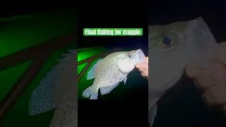Another crappie float fishing with minnows
