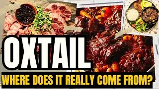 Where Does OXTAIL really come from?