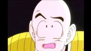 Krillin's Secret Regret