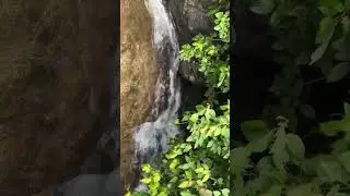 Hidden gem ✨                  #palakad #kilimala #waterfall #travel #nature #shortvideo #kollangode