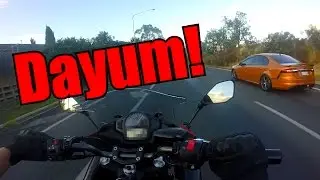 Government vs. Penis Graffiti