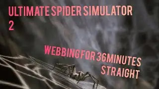 Webbing for 36 Minutes Straight | Ultimate Spider Simulator 2 (4x speed timelapse)