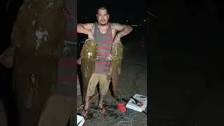Az canal flatheadz!!