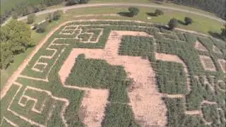 Amazing Grace Crop Maze