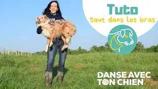 Apprendre au chien à sauter dans les bras en 3 étapes - exercice facile