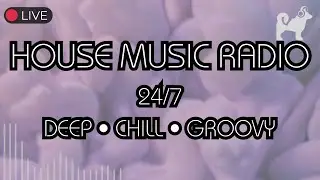 🎧 House Music Radio 24/7 &middot; Deep, Chill & Groovy (Corgi Records)