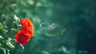 Under the Rain ☔ | Romantic Piano & Violin Love Story