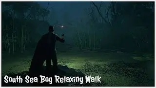 Hogwarts Legacy | South Sea Bog Relaxing Walk (No Commentary)