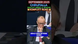 💥 TINO zieht MERZ&SPAHN STRAMM⚡#afd #merz #chrupalla #weidel #klingbeil #cdu #aliceweidel #spd