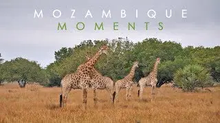 Mozambique Moments
