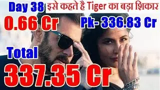 Tiger Zinda Hai Box Office Collection Day 38 I Final I PK Producers Figure In Danger