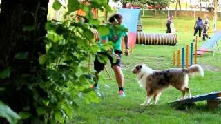 Aiko's practice at agility court