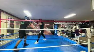 복싱스파링 18세 3개월차 (파란글러브) VS 일반부 빨강글러브(2년차) ROUND2