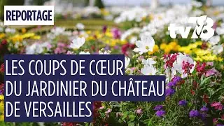 Les coups de c&oelig;ur d&rsquo;Alain Baraton dans les jardins de Versailles 🌿
