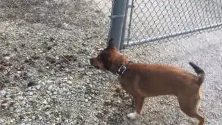 Stella mad at another 