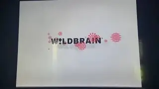 Wilbrain/Nickelodeon Prouductions (2010/2011)