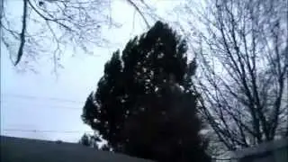 Damaging Wind Storm Spokane Washington Nov 2015